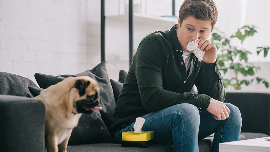 Installing an air purifier is one of the top methods to enhance your home’s indoor air quality. Learn more about the three top products. 
